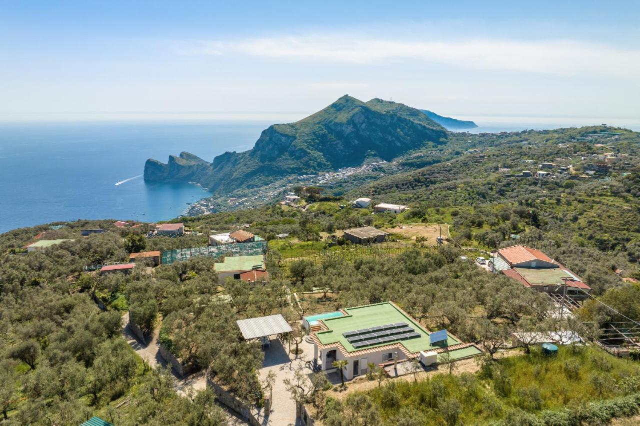 Villa Rusinella Minimalist Retreat With Sea Views Massa Lubrense Eksteriør bilde